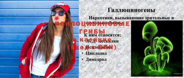 шишки Баксан