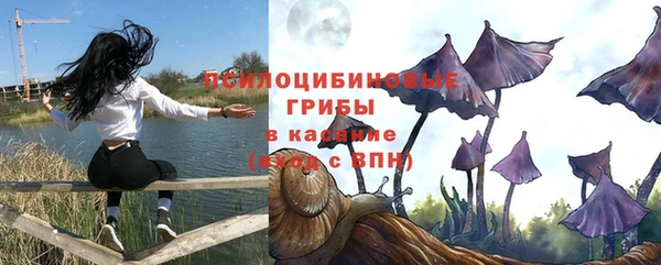 шишки Баксан