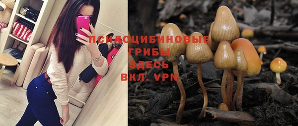 шишки Баксан