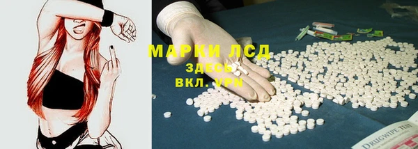 шишки Баксан