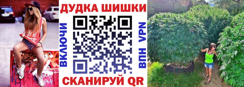 Купить где  Шацк  Каннабис SATIVA & INDICA 
