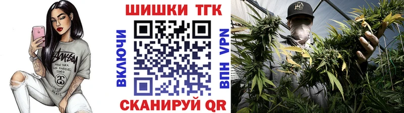 Бошки Шишки планчик Шацк